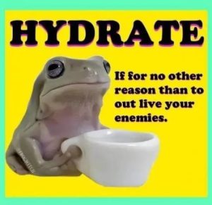 Stupid Bar Memes nHbVWsj