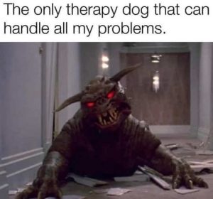 Stupid Bar Memes onlshandlesproblems