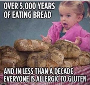 Stupid Bar Memes oveatingsbreadsles