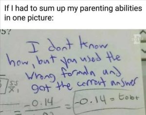 Stupid Bar Memes parentingsasonessture