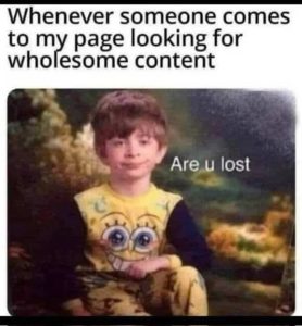 Stupid Bar Memes someonescomageswholesome