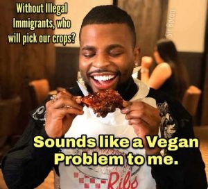 Stupid Bar Memes witsimmigrantsswhosp
