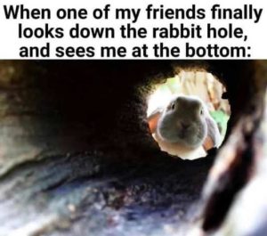 Stupid Bar Memes wnsbottomsrabbit