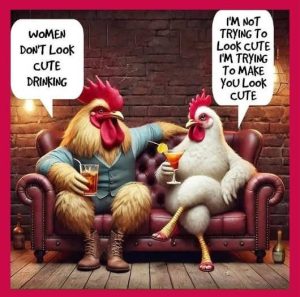 Stupid Bar Memes womensdoodsdrinkingsro