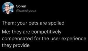 Stupid Bar Memes xspetsssatedsuserse