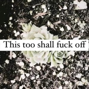 Stupid Bar Memes 039912728s209421