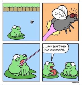 Stupid Bar Memes 20679s261957