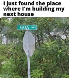 Stupid Bar Memes 2c1f7c82sa1f0s20a84f50