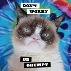 Stupid Bar Memes 33fs99026de9