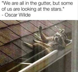 Stupid Bar Memes 51224133s317082