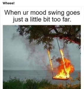 Stupid Bar Memes 5e37016bd0f900ce