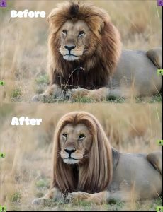 Stupid Bar Memes 64940s90041