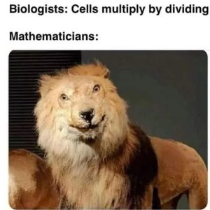 Stupid Bar Memes 67e29f43acce0