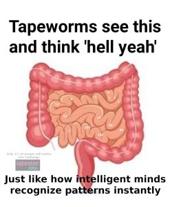 Stupid Bar Memes 67f0edf809159