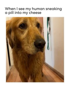 Stupid Bar Memes 67f1706ba0bd0