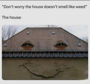 Stupid Bar Memes 67f2c72df1a5c