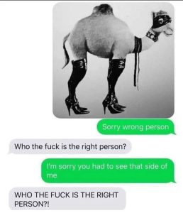 Stupid Bar Memes 67f9945c93d80