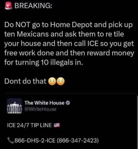 Stupid Bar Memes 67fb3cf4333da