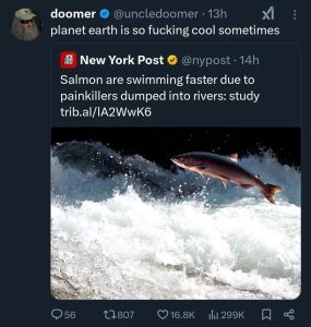 Stupid Bar Memes 67fbe5aa7b8ed