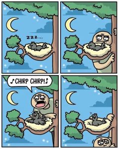 Stupid Bar Memes 6803aa42ebda8