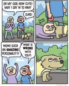 Stupid Bar Memes 6803ab3c14646