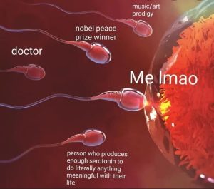 Stupid Bar Memes 6809ffc43eda4