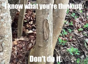 Stupid Bar Memes 6809fff74b6f5