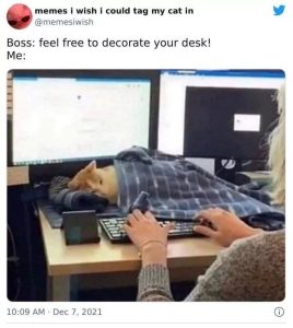 Stupid Bar Memes 680a010d57b48