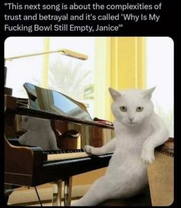 Stupid Bar Memes 680a16a93627e