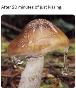 Stupid Bar Memes 680a1d49f31d9