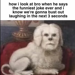 Stupid Bar Memes 680a33b06ecd1