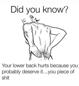 Stupid Bar Memes 70456s27106
