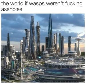 Stupid Bar Memes 74eUD