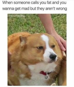 Stupid Bar Memes 75XFATF