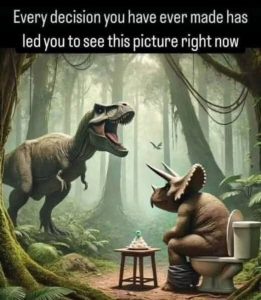 Stupid Bar Memes 79d83734abc5c08f