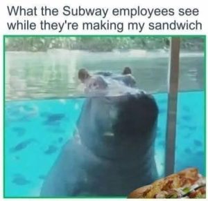 Stupid Bar Memes 7b2b45cff8616759