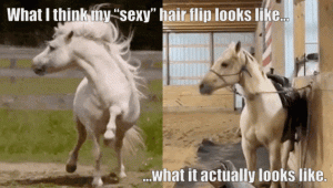 Stupid Bar Memes 830d849d8faf1915