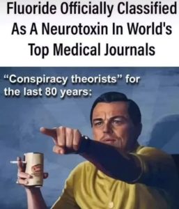 Stupid Bar Memes 83e74b170af3a5