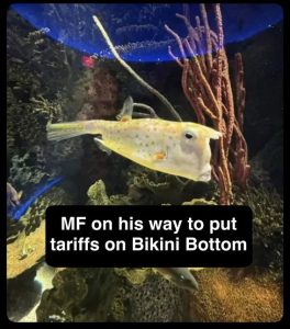 Stupid Bar Memes 8bf2e9f80c397bc4f