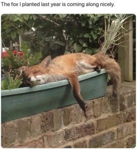 Stupid Bar Memes CQ2Qt1V
