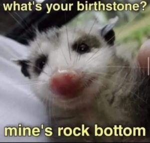 Stupid Bar Memes CgqRCrt