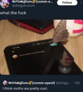 Stupid Bar Memes E1qRqGv
