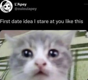 Stupid Bar Memes FNeCGJnsd