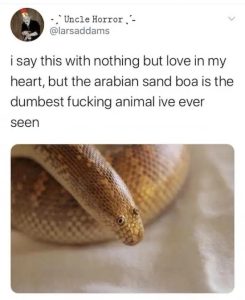 Stupid Bar Memes Gax0hrcs159d33