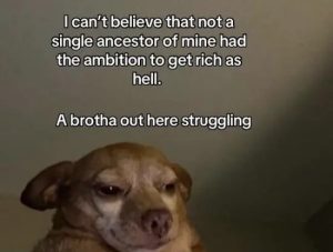Stupid Bar Memes XkvV5cf