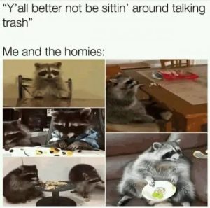 Stupid Bar Memes Z8SvGO4