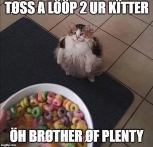 Stupid Bar Memes aD2ZjPZs700b