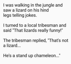 Stupid Bar Memes aRBvL1Ms700b