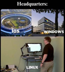 Stupid Bar Memes aXP4BD2s700b