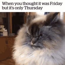 Stupid Bar Memes affbcda827482ae6